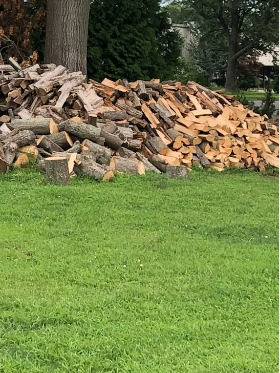 Trusted yard cleanup service in North Haven, CT by DT Landscaping