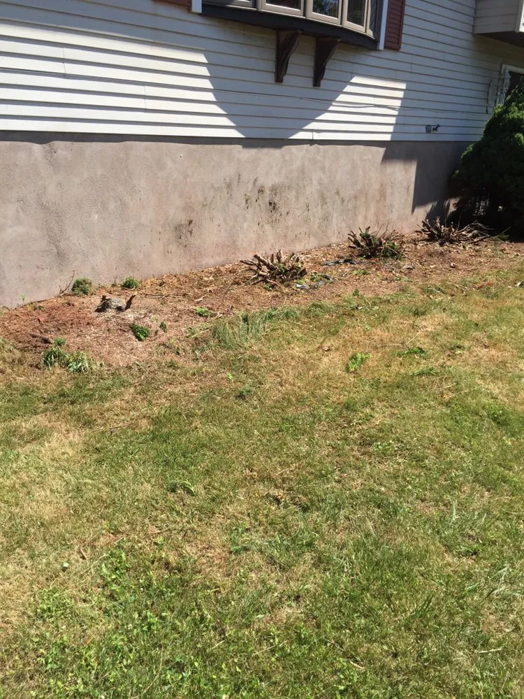 Local yard maintenance experts serving North Haven, CT - DT Landscaping