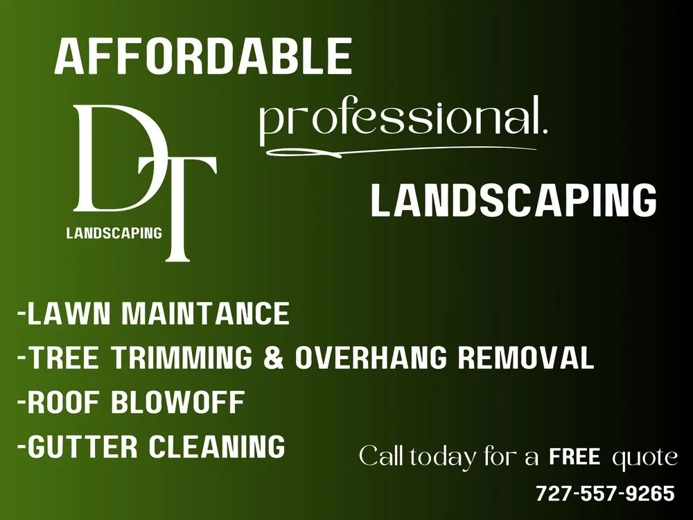 Top-rated yard cleanup service in Oldsmar, FL by DT Landscaping