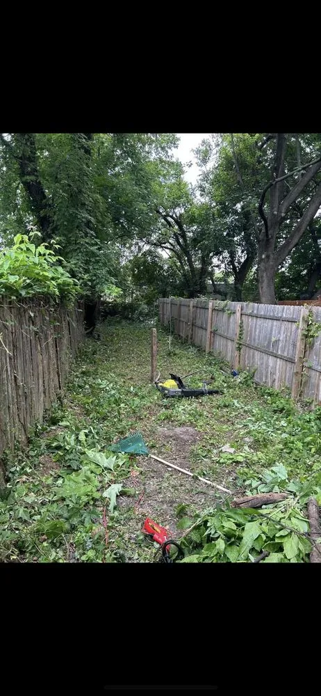 Expert lawn care service experts serving Philadelphia, PA - Dt Landscaping