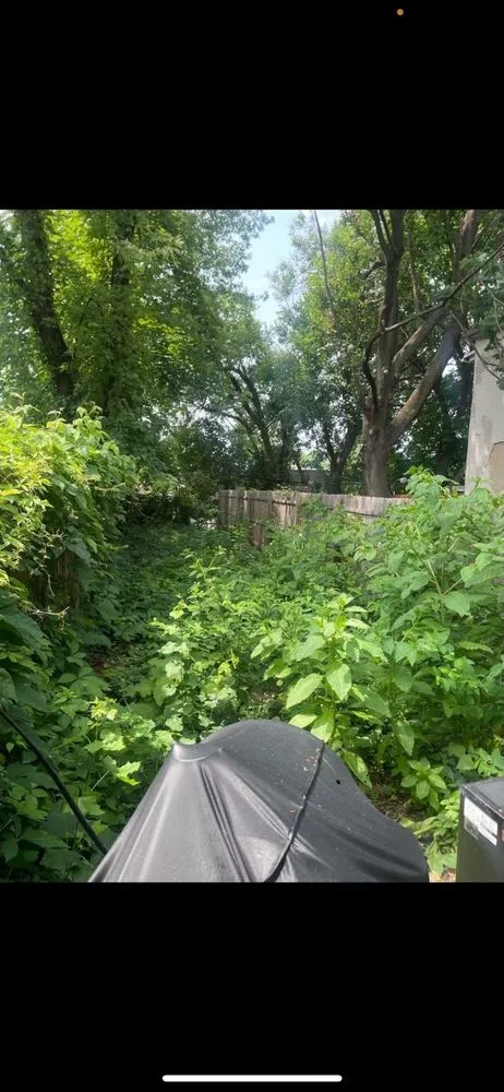 Top-rated residential landscaping for residential properties in Philadelphia, PA by Dt Landscaping