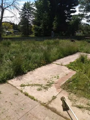 D&T landscaping Logo