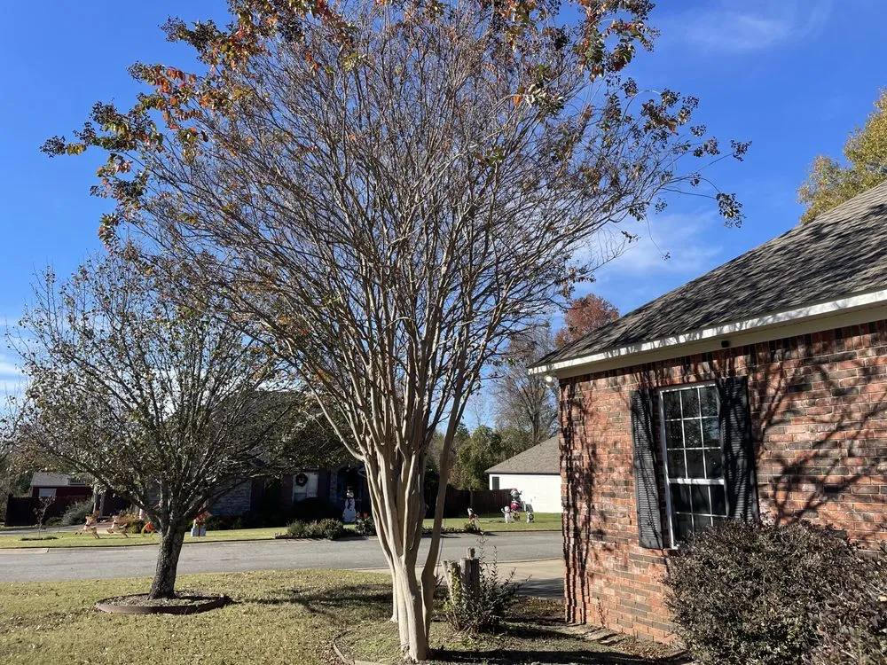 Custom outdoor landscaping experts serving Conway, AR - D&T Lawn Care