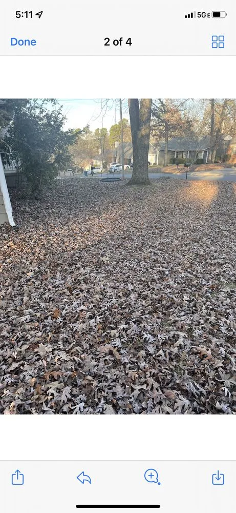 Professional landscaping services experts serving Conway, AR - D&T Lawn Care