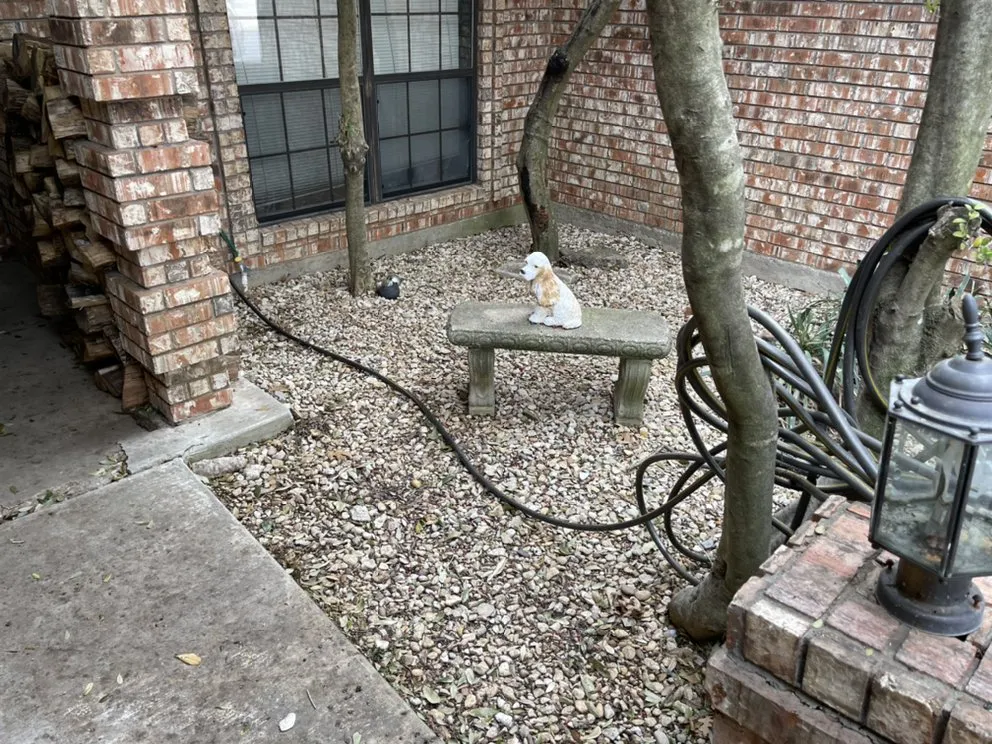 Expert yard cleanup service in Crowley, TX by D&T Lawn Care