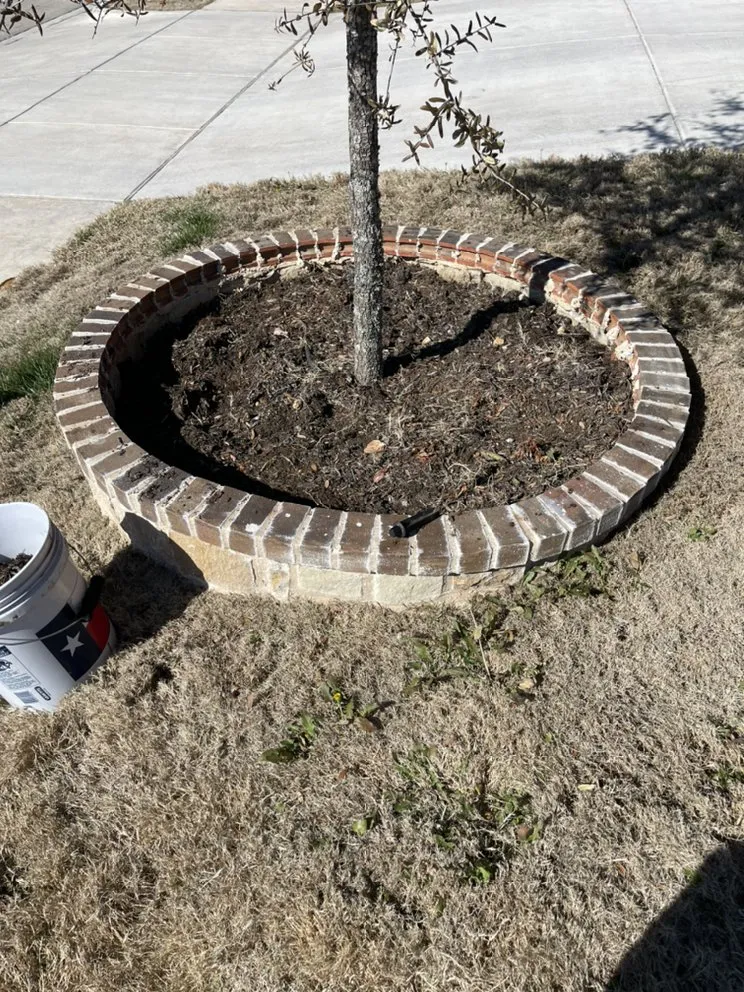Local landscape installation in Crowley, TX - D&T Lawn Care