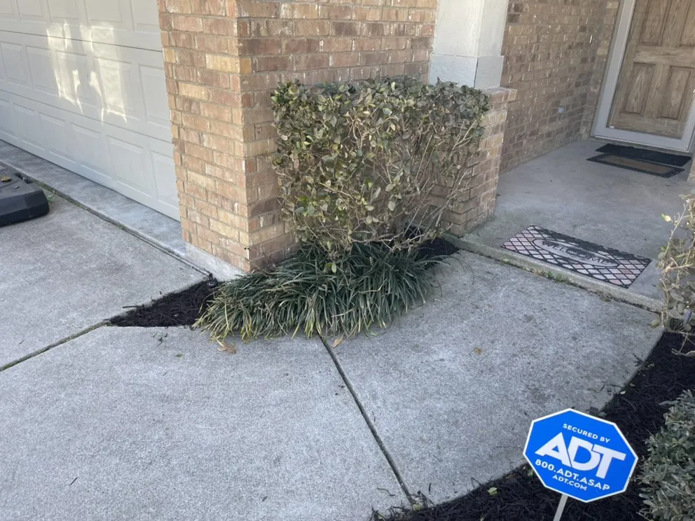 Top-rated yard cleanup service experts serving Crowley, TX - D&T Lawn Care