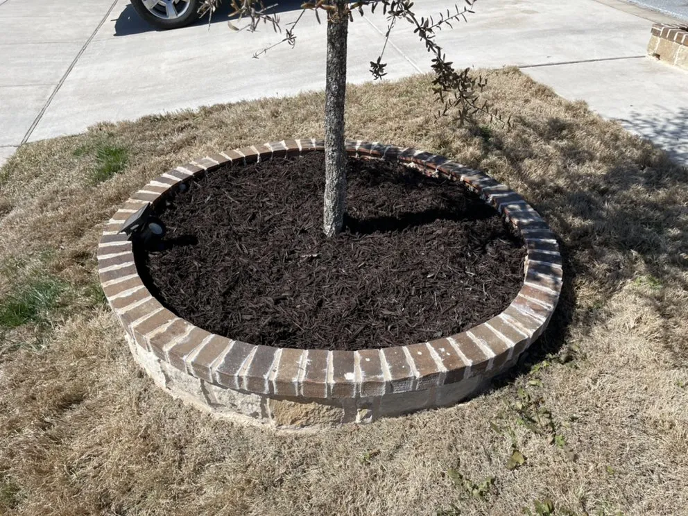 Trusted yard maintenance for residential properties across Crowley, TX - D&T Lawn Care