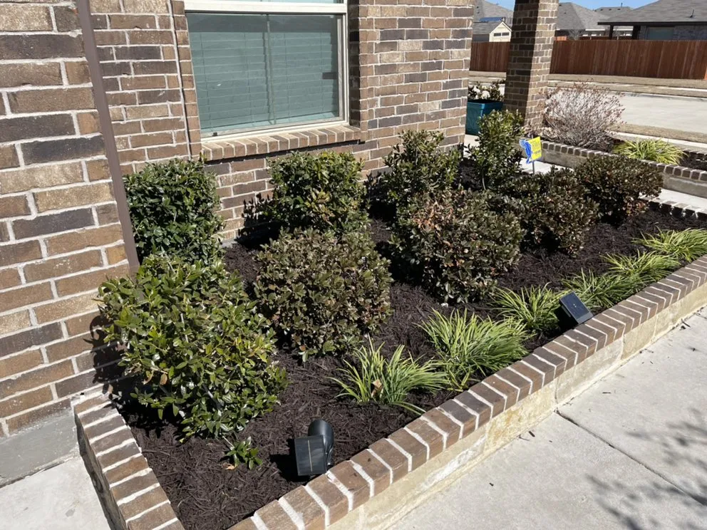 Custom lawn mowing service for residential properties in Crowley, TX by D&T Lawn Care