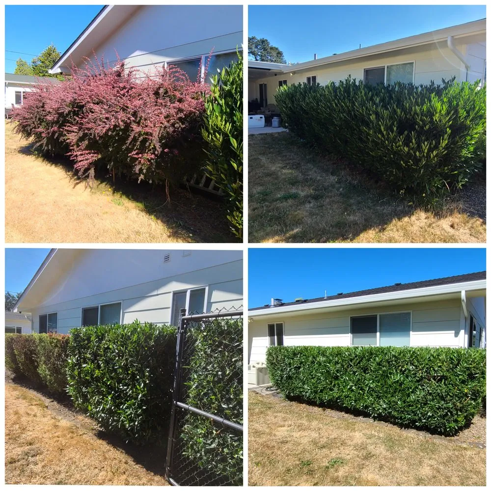 Trusted garden landscaping in Eugene, OR by DT Lawn Care