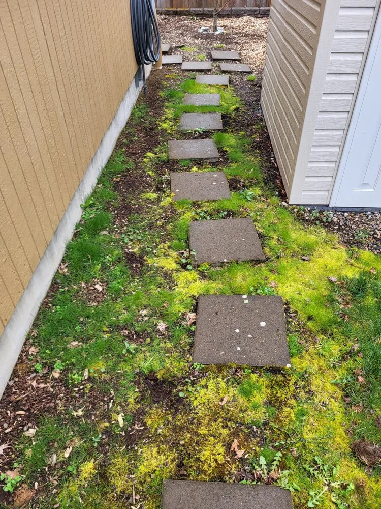 Expert garden landscaping in Eugene, OR - DT Lawn Care