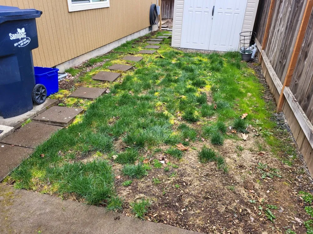 Top-rated landscape installation in Eugene, OR - DT Lawn Care