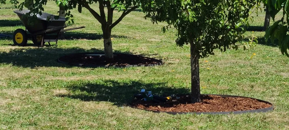 Affordable lawn care service with custom design across Eugene, OR - DT Lawn Care