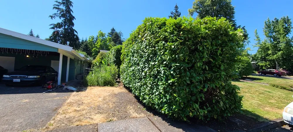 Professional garden landscaping in Eugene, OR - DT Lawn Care