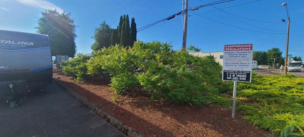 Reliable yard maintenance experts serving Eugene, OR - DT Lawn Care