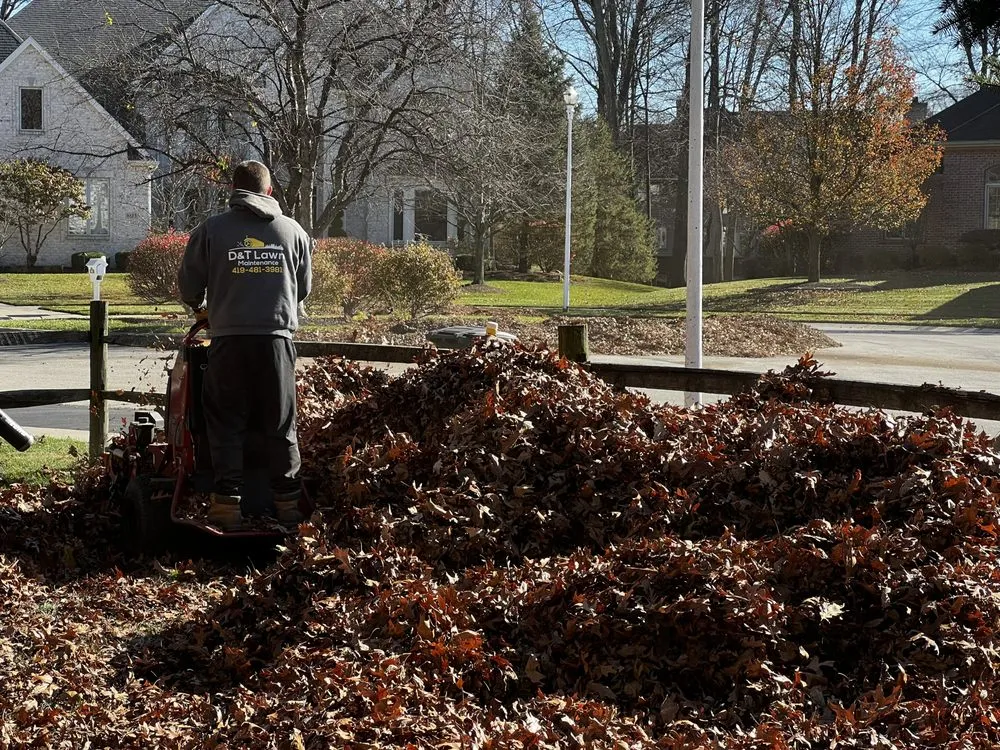 Expert lawn care service experts serving Sylvania, OH - D&T Lawn Maintenance LLC - Toledo