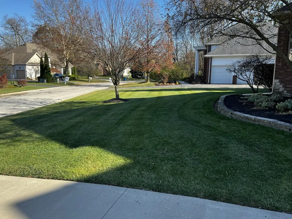 Expert yard maintenance in Sylvania, OH by D&T Lawn Maintenance LLC - Toledo