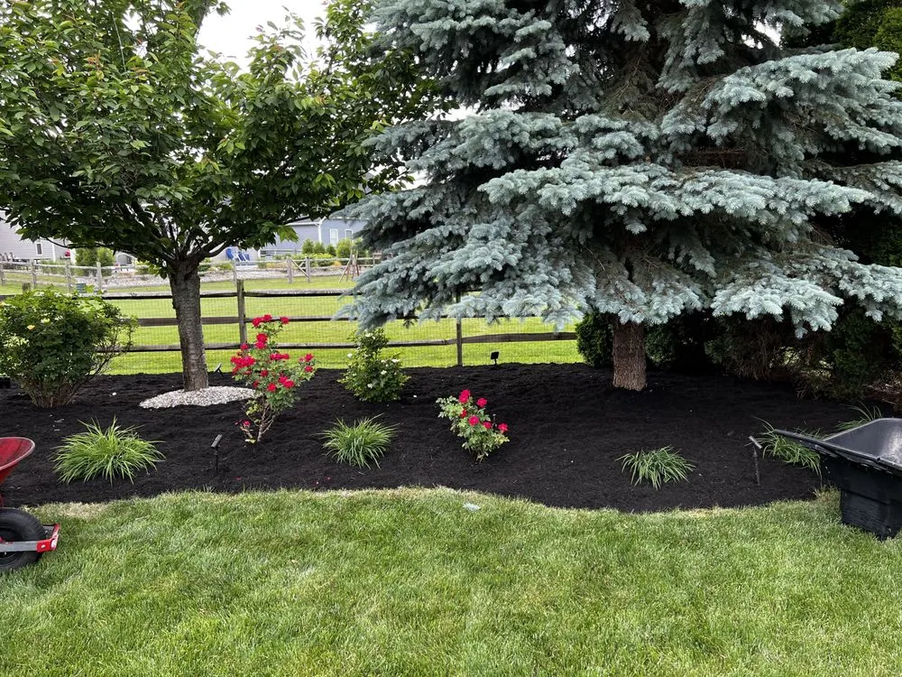 Top-rated outdoor landscaping for homes across Sylvania, OH - D&T Lawn Maintenance LLC - Toledo