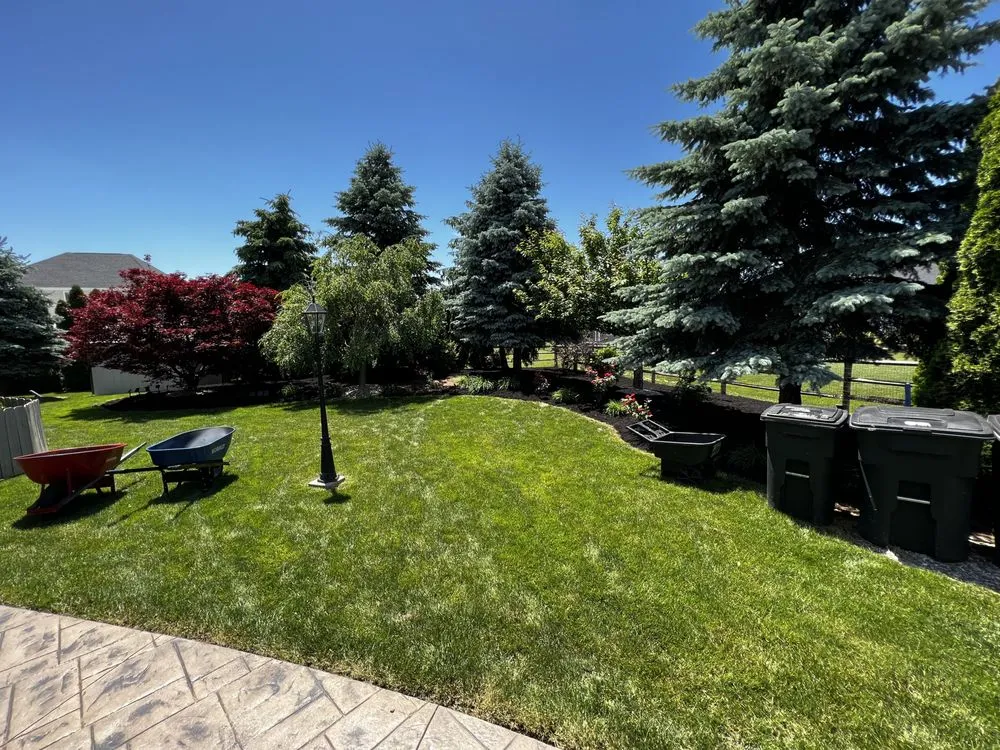 Affordable yard maintenance in Sylvania, OH by D&T Lawn Maintenance LLC - Toledo