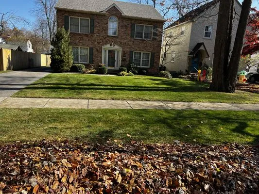 D&T Lawn Maintenance LLC - Toledo Logo