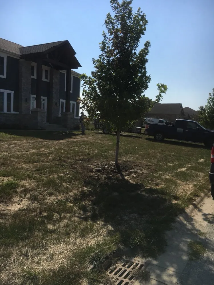 Expert yard maintenance experts serving Lowell, IN - DT Lawn Service