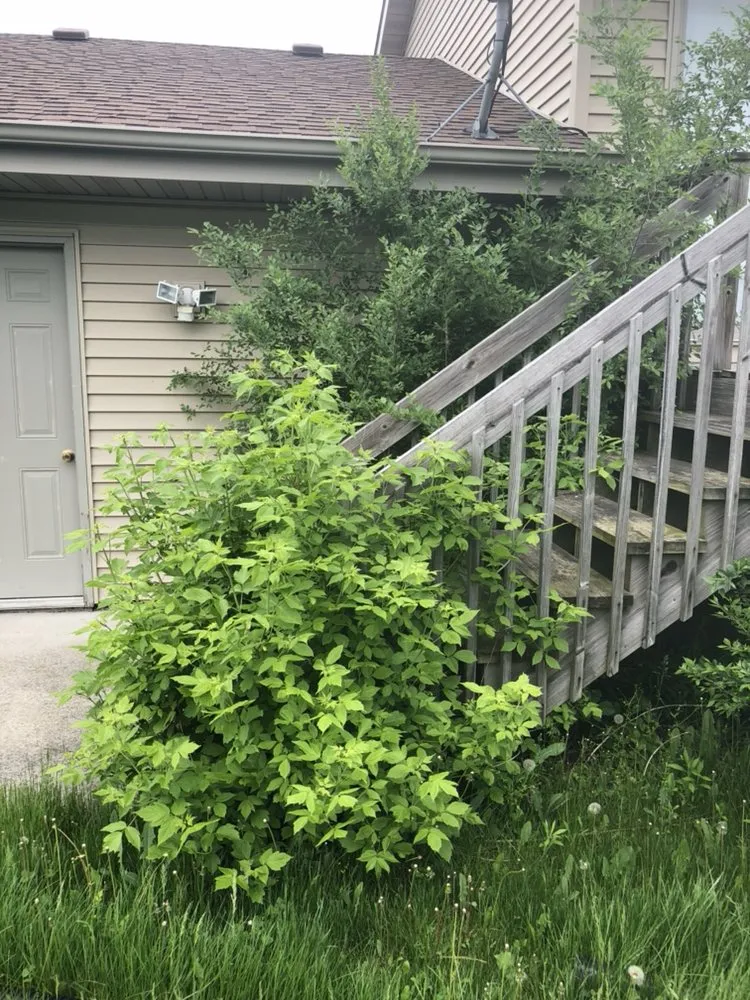 Custom yard cleanup service for outdoor upgrades in Lowell, IN by DT Lawn Service