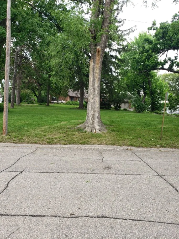 Expert garden landscaping for year-round maintenance in Tama, IA by D&T Lawn Services & More