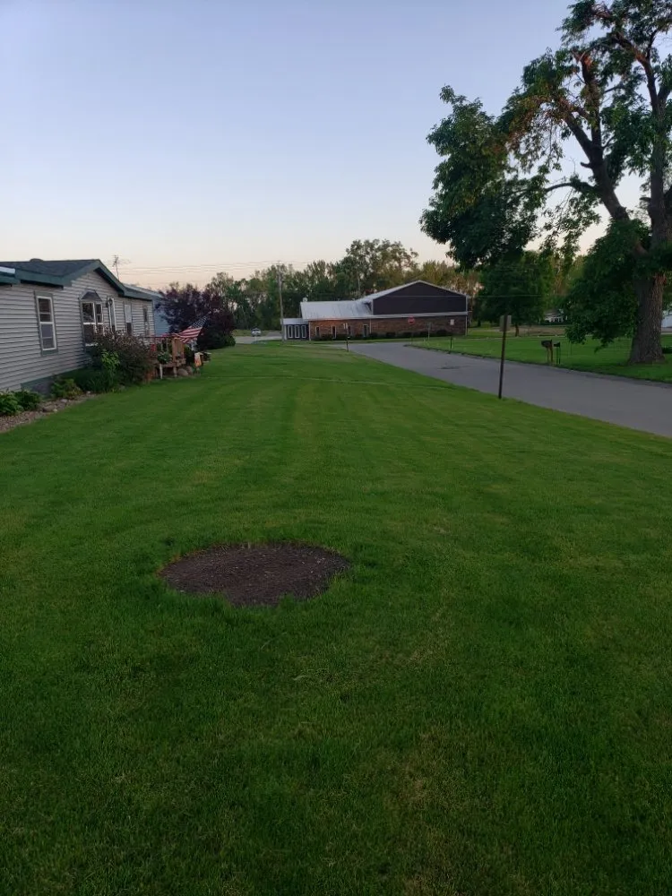 Top-rated lawn care service in Tama, IA - D&T Lawn Services & More