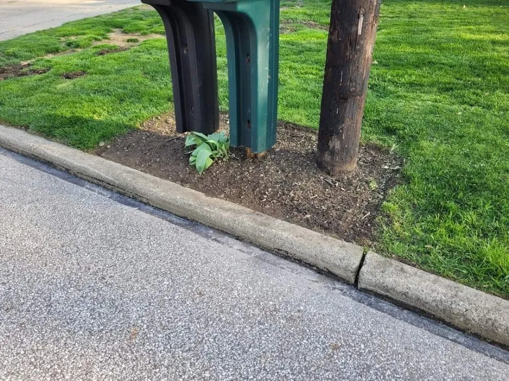 Custom yard cleanup service experts serving Ashtabula, OH - D&T Lawncare