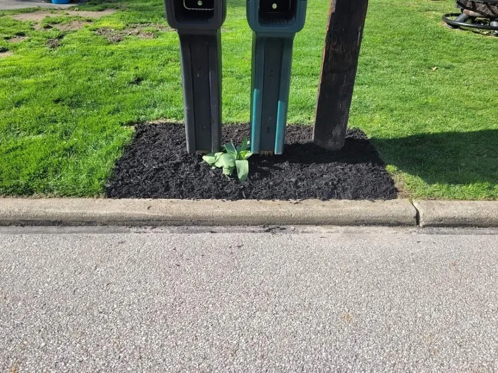 Reliable yard cleanup service experts serving Ashtabula, OH - D&T Lawncare