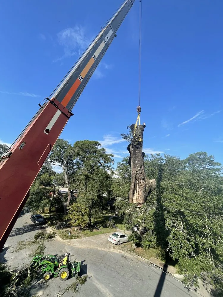 Affordable landscape design near you in Pace, FL by D&T Tree and Lawn Services