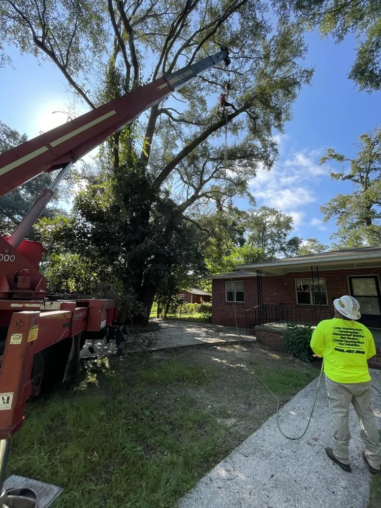 Expert lawn care service for year-round maintenance across Pace, FL - D&T Tree and Lawn Services