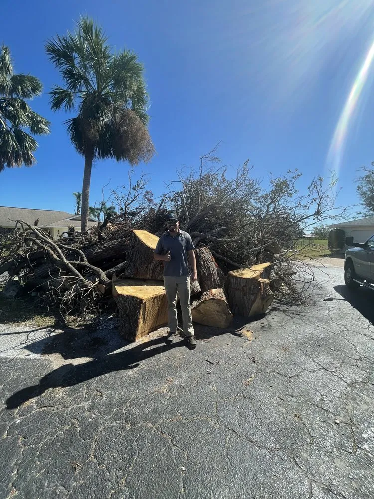 Reliable landscaping services experts serving Pace, FL - D&T Tree and Lawn Services