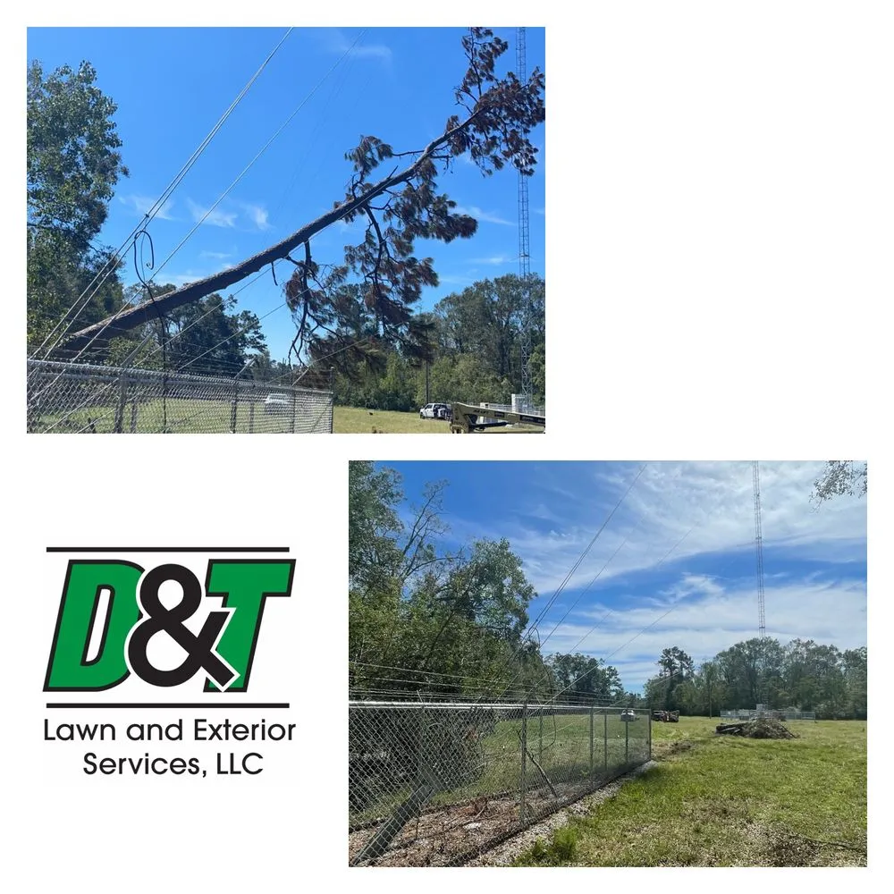 Affordable yard cleanup service near you in Pace, FL by D&T Tree and Lawn Services