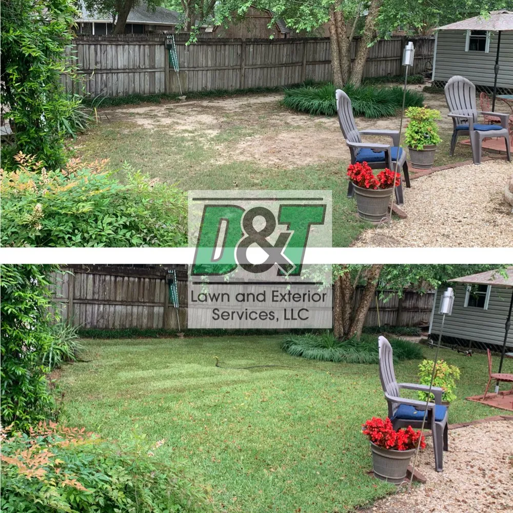 Professional lawn care service near you in Pace, FL by D&T Tree and Lawn Services