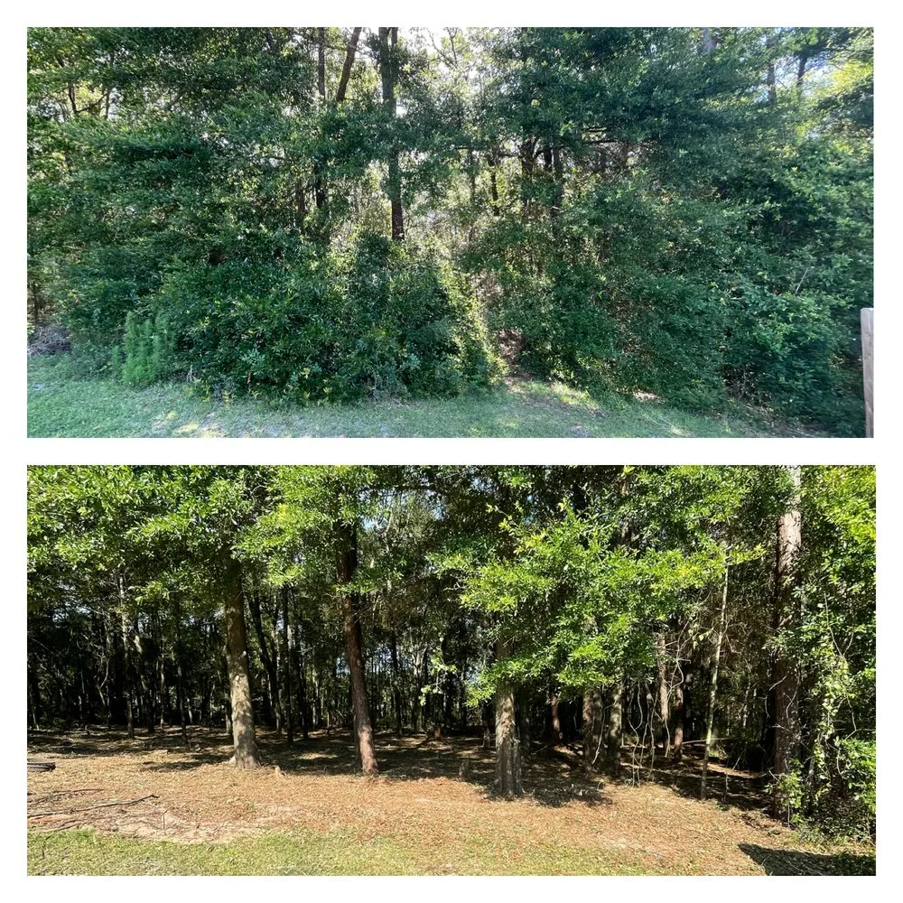 Affordable lawn mowing service in Pace, FL by D&T Tree and Lawn Services