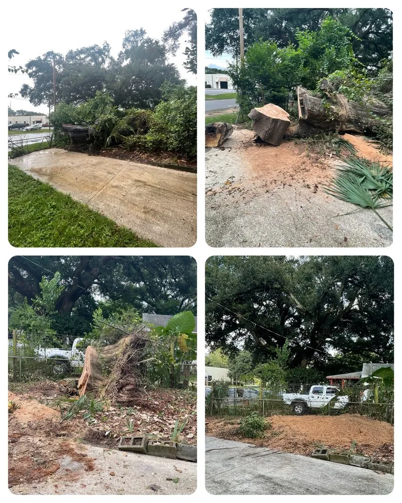 Expert landscape installation experts serving Pace, FL - D&T Tree and Lawn Services