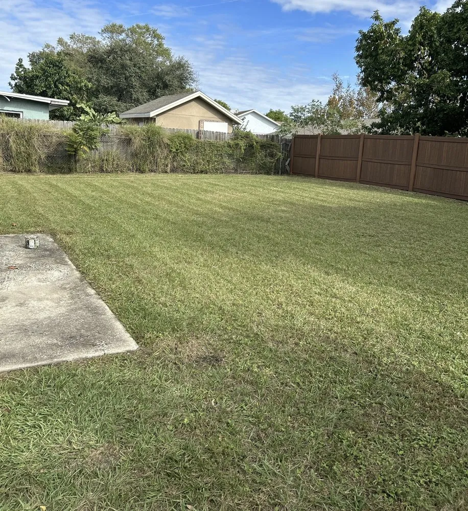 Affordable yard maintenance experts serving Kissimmee, FL - DTA Landscaping
