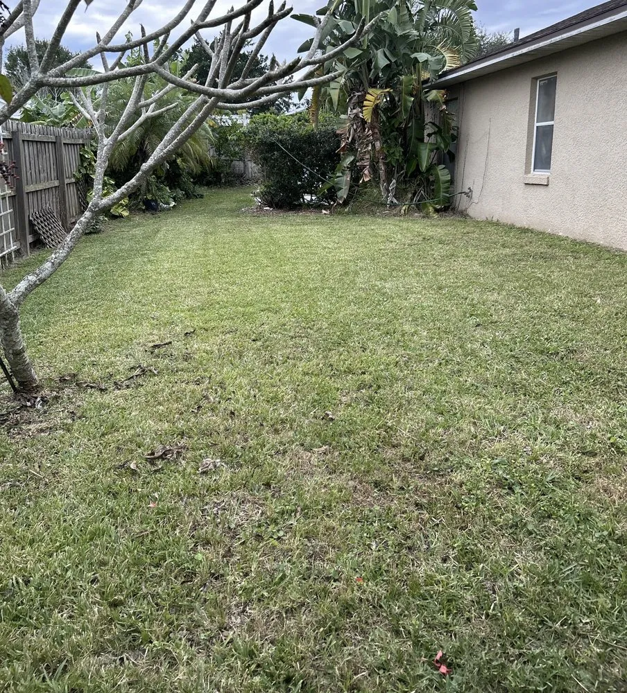 Top-rated lawn mowing service in Kissimmee, FL by DTA Landscaping