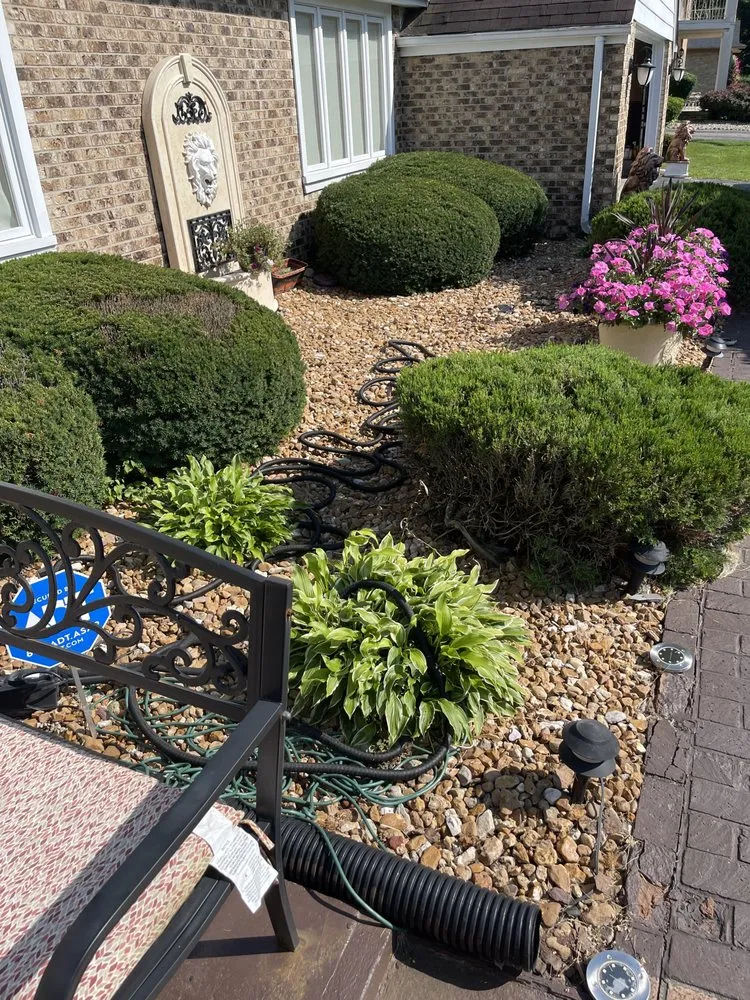 Trusted yard cleanup service in Novi, MI by Dta Management Group