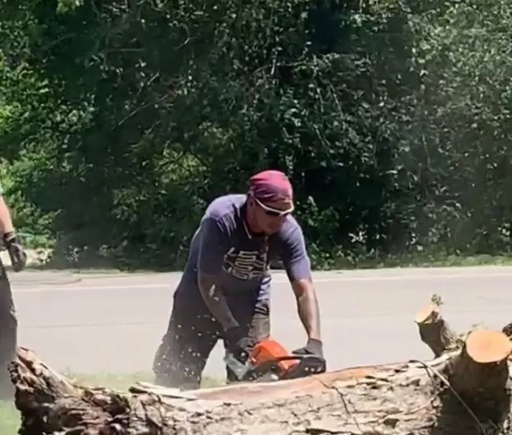 Local landscape installation in Columbia, TN - DTC Tree Service