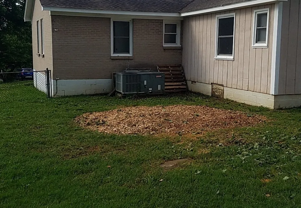 Top-rated lawn care service experts serving Columbia, TN - DTC Tree Service