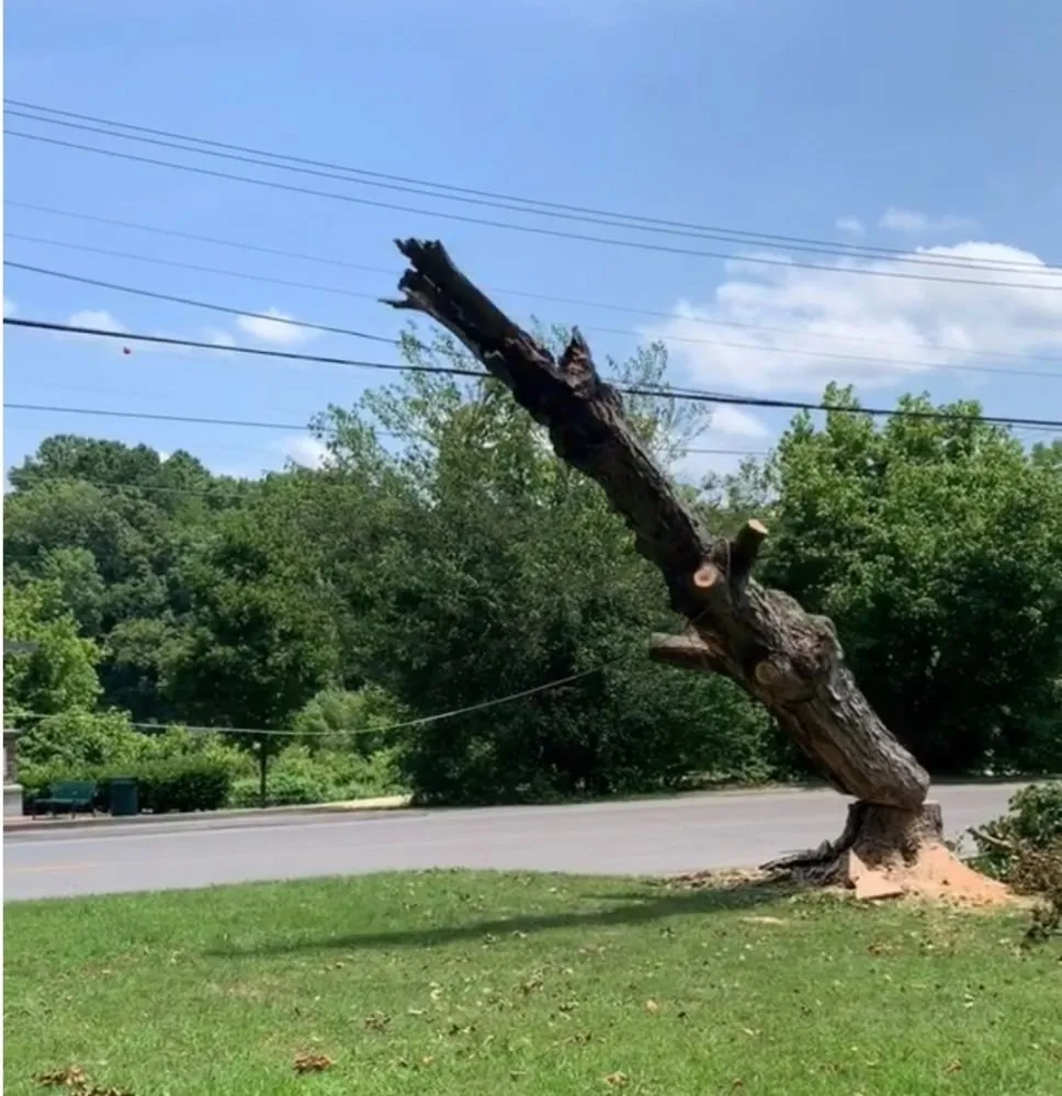 Local lawn mowing service near you across Columbia, TN - DTC Tree Service