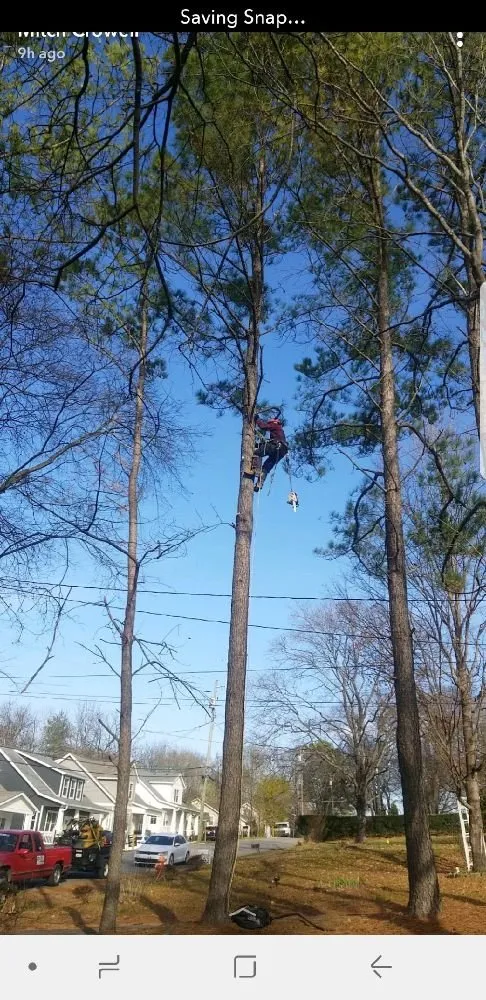 Affordable outdoor landscaping for homes across Columbia, TN - DTC Tree Service