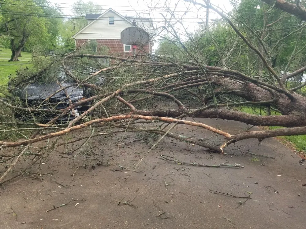 Affordable landscaping services experts serving Columbia, TN - DTC Tree Service