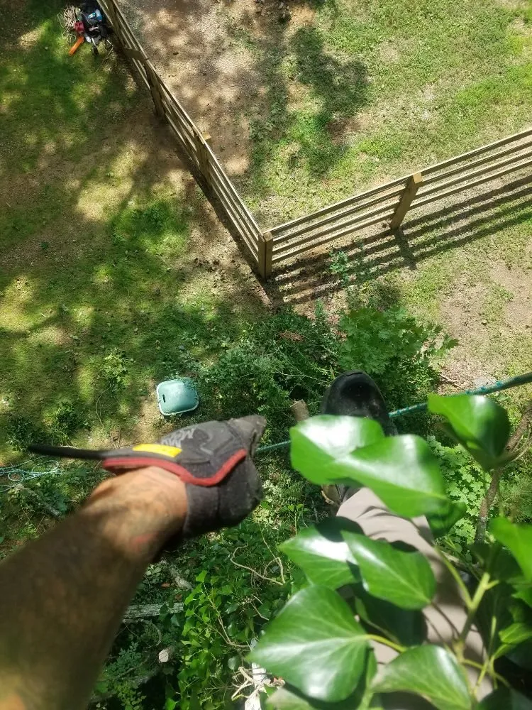 Top-rated outdoor landscaping experts serving Columbia, TN - DTC Tree Service