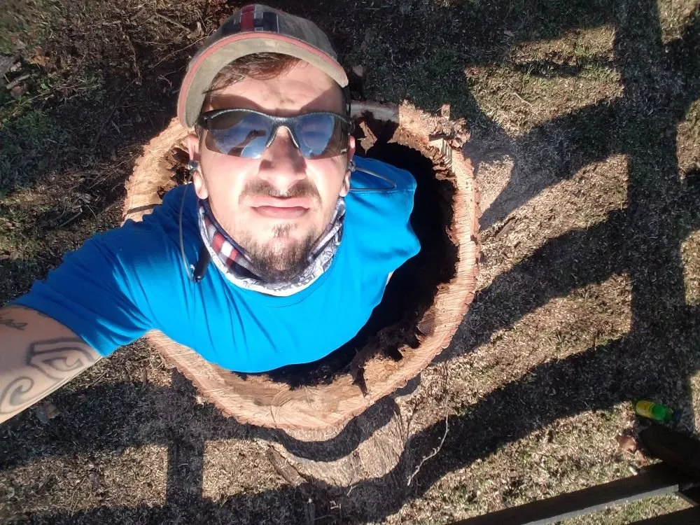 Top-rated garden landscaping in Columbia, TN by DTC Tree Service