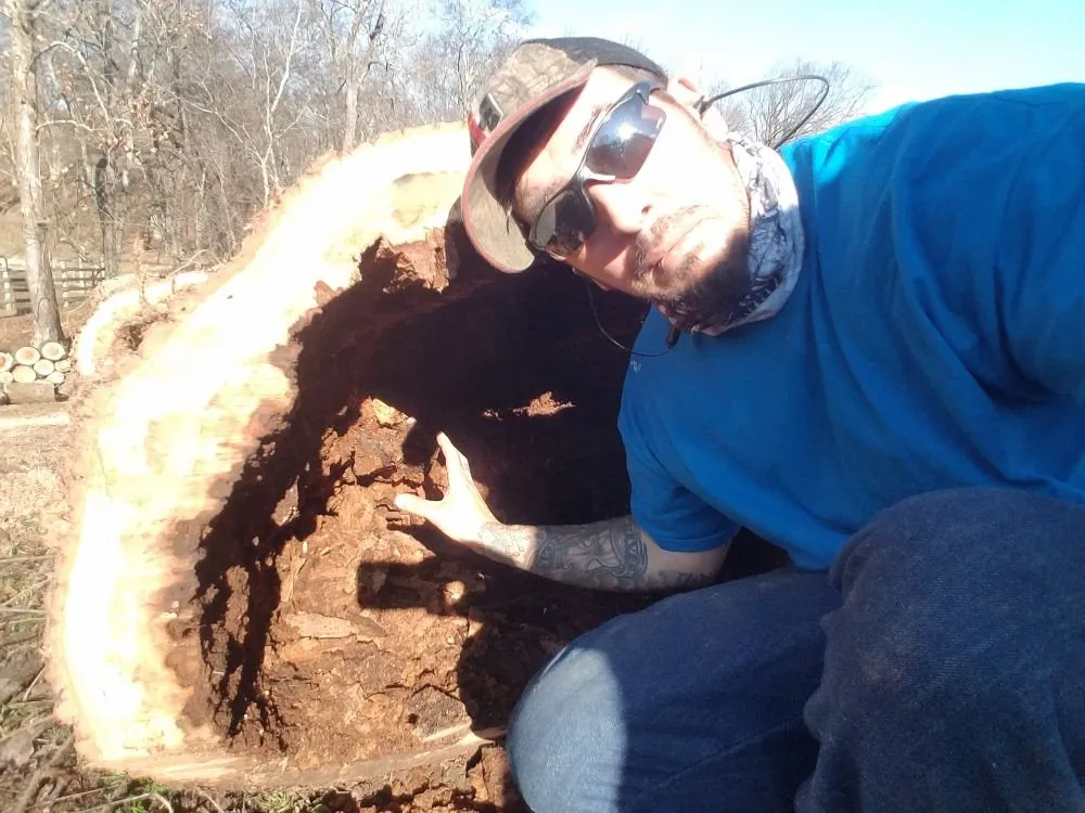 Professional landscape installation in Columbia, TN - DTC Tree Service