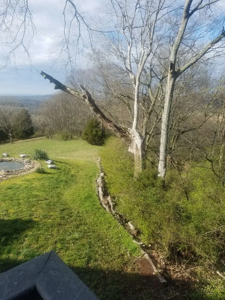 Professional yard maintenance experts serving Columbia, TN - DTC Tree Service