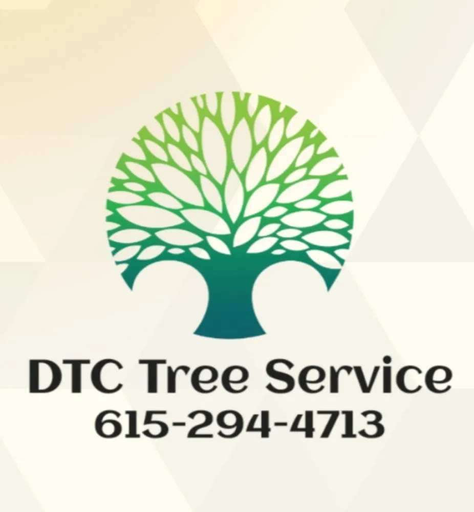 Professional residential landscaping for residential properties in Columbia, TN by DTC Tree Service
